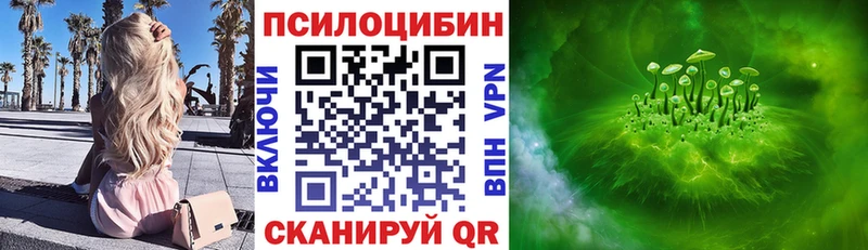 omg зеркало  Мостовской  Псилоцибиновые грибы Psilocybine cubensis 